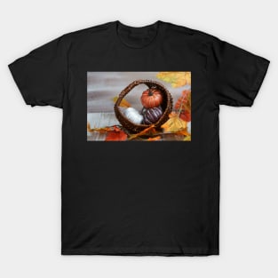 Fall background of Pumpkins and fall decor T-Shirt